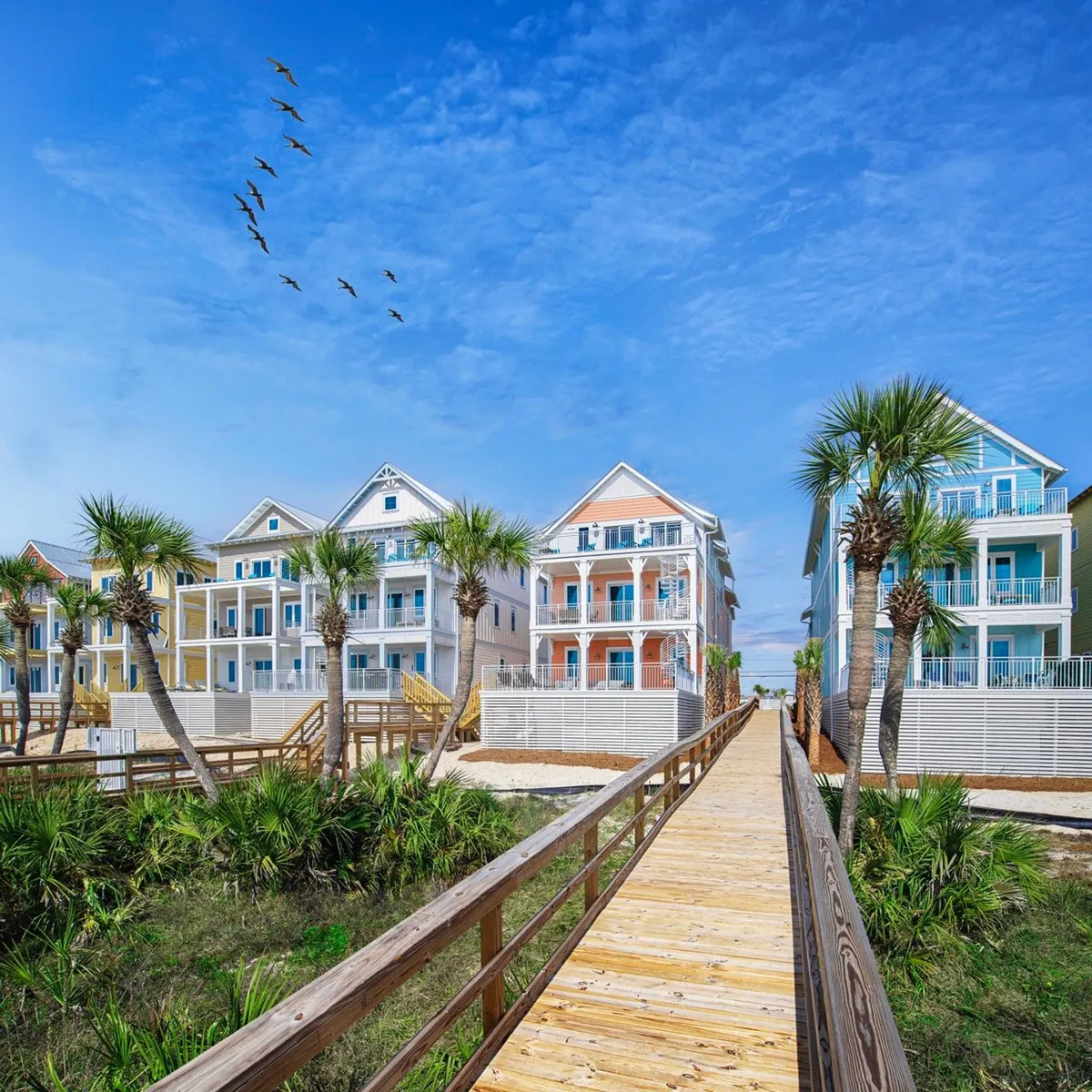 The image features a vibrant row of multi-story, pastel-colored beach houses with spacious balconies, set among swaying palm trees. A wooden boardwalk invites guests to stroll directly from the cottages to the pristine, sunlit sands of Panama City Beach, while a flock of birds soars gracefully across a clear blue sky, enhancing the sense of coastal serenity and escape.